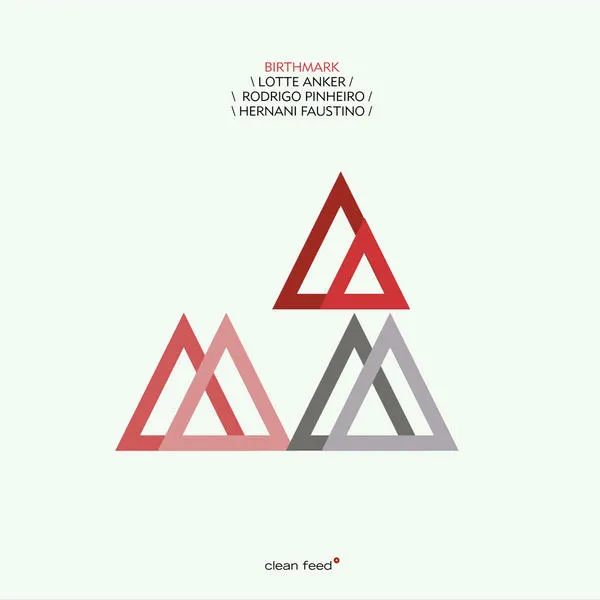Cover of Birthmark