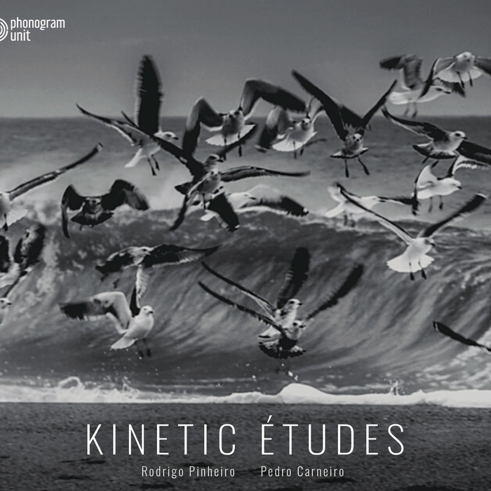 Kinetic Études