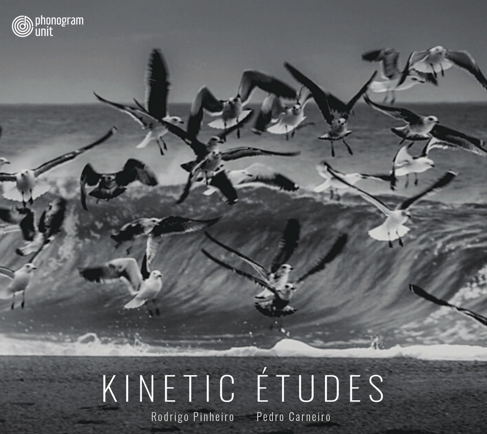 Kinetic Études