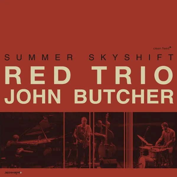 Cover of Summer Skyshift