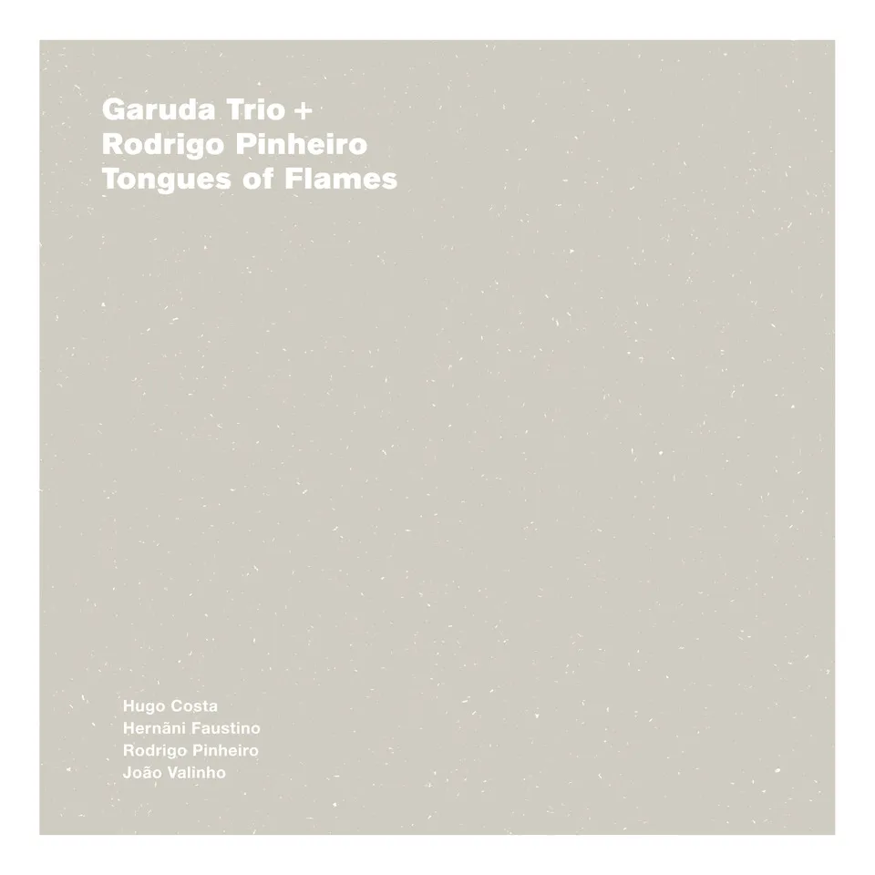 Cover of Tongues of flames